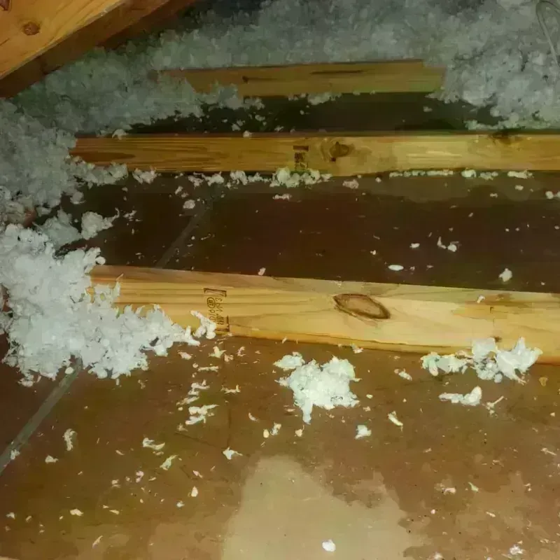 Attic Water Damage in Springdale, AR