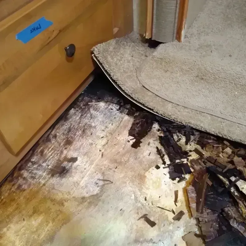 Wood Floor Water Damage in Springdale, AR